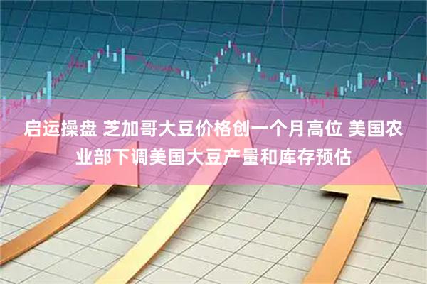 启运操盘 芝加哥大豆价格创一个月高位 美国农业部下调美国大豆产量和库存预估