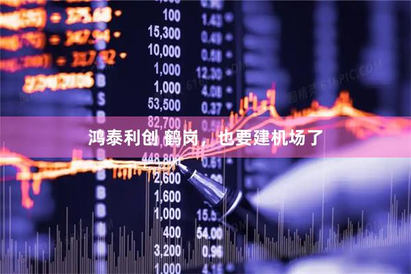 鸿泰利创 鹤岗，也要建机场了